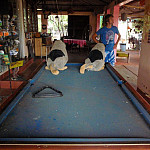 Thumb for Outback Pubs